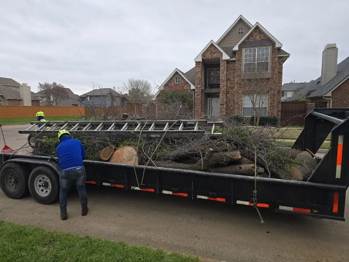 Expert Tree Removal with proper safety equipment in Overland Park